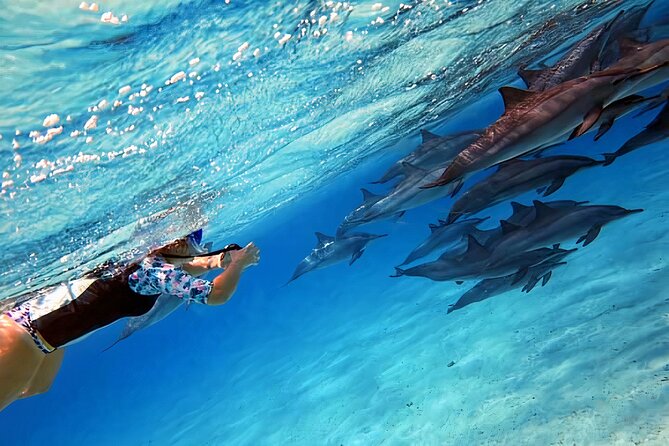 Sataya Reef (Dolphin Reef)
