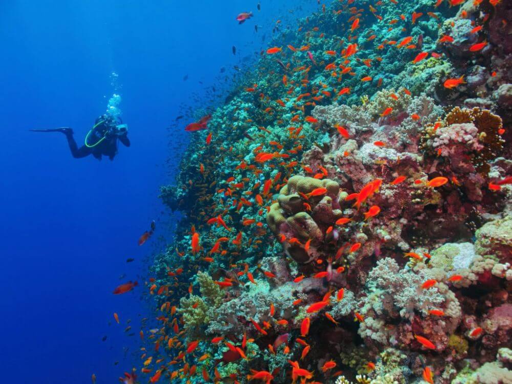 Shaab Marsa Alam
