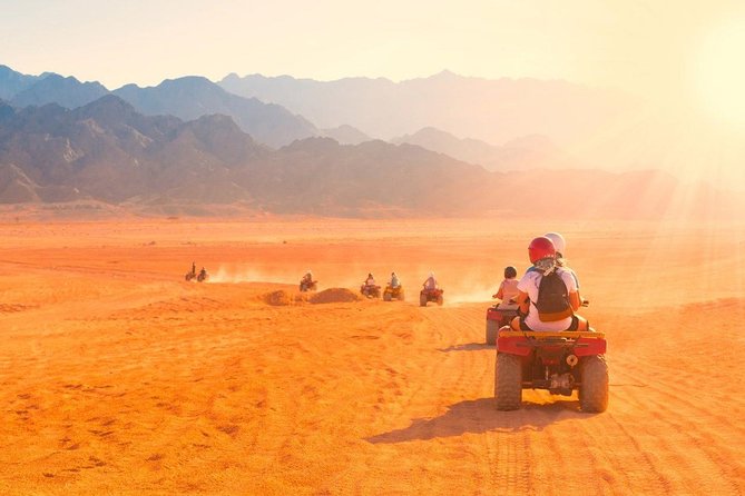 Safari nel Deserto